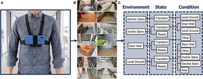 ExoNet Database: Wearable Camera Images of Human Locomotion Environments